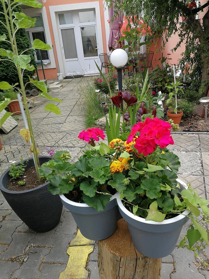 Penzion Libertas Mariánské Lázně Eksteriør bilde